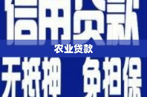 禅城农业贷款