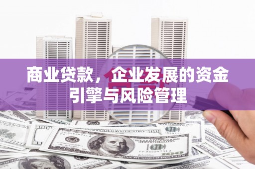 黄南商业贷款，企业发展的资金引擎与风险管理