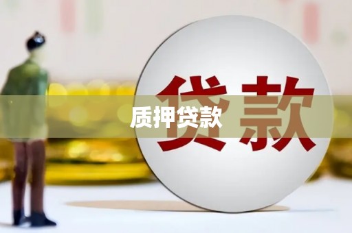 洪雅质押贷款