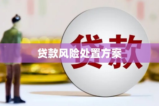 禅城贷款风险处置方案