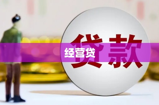 乐亭经营贷