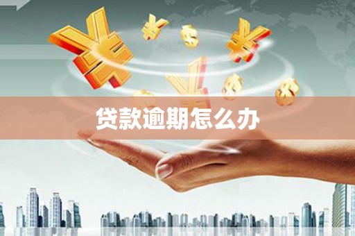 甘孜贷款逾期怎么办