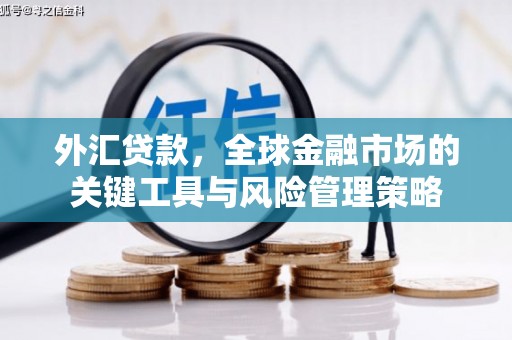 田尾外汇贷款，全球金融市场的关键工具与风险管理策略