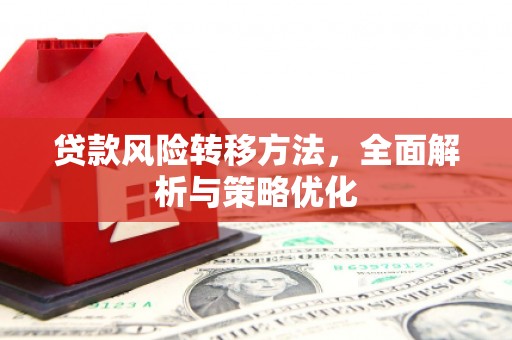 水林贷款风险转移方法，全面解析与策略优化