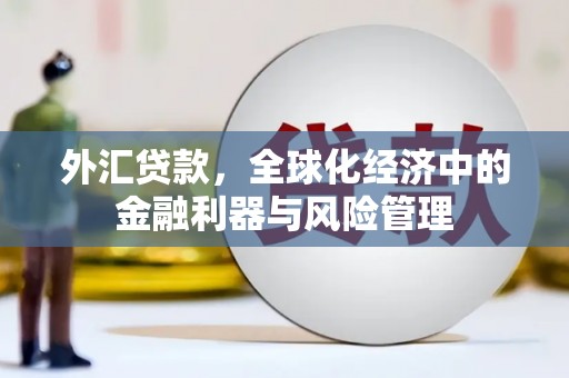 麦寮外汇贷款，全球化经济中的金融利器与风险管理