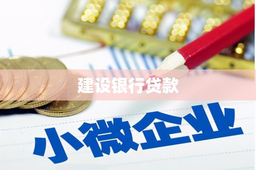 修武建设银行贷款