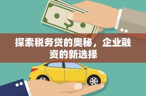 武义探索税务贷的奥秘，企业融资的新选择
