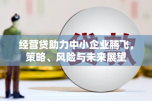磴口经营贷助力中小企业腾飞，策略、风险与未来展望