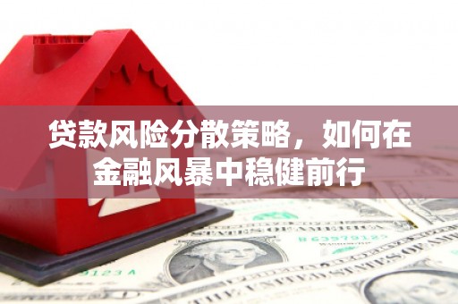 循化贷款风险分散策略，如何在金融风暴中稳健前行
