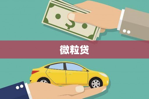 芦竹微粒贷