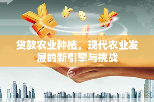 葫芦岛贷款农业种植，现代农业发展的新引擎与挑战