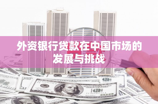 伊宁外资银行贷款在中国市场的发展与挑战