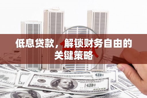 赫山低息贷款，解锁财务自由的关键策略