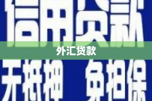 井陉矿区外汇贷款