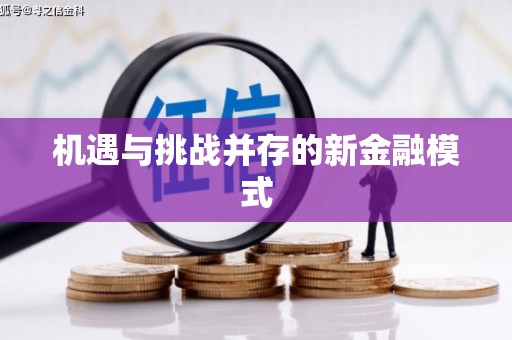 叶城机遇与挑战并存的新金融模式