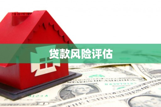 丰滨贷款风险评估