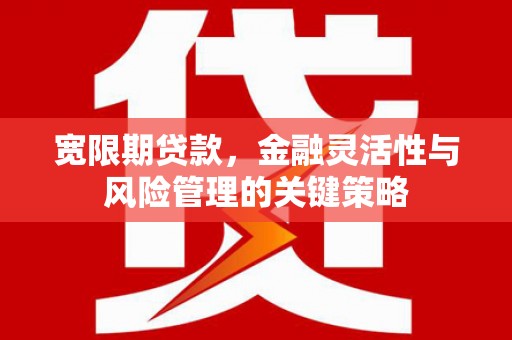 炉霍宽限期贷款，金融灵活性与风险管理的关键策略