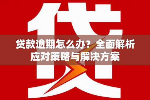 西区贷款逾期怎么办？全面解析应对策略与解决方案