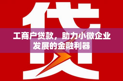 头屋工商户贷款，助力小微企业发展的金融利器