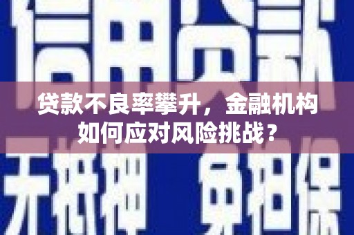 郁南贷款不良率攀升，金融机构如何应对风险挑战？