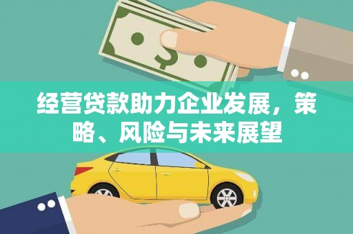 高陵经营贷款助力企业发展，策略、风险与未来展望