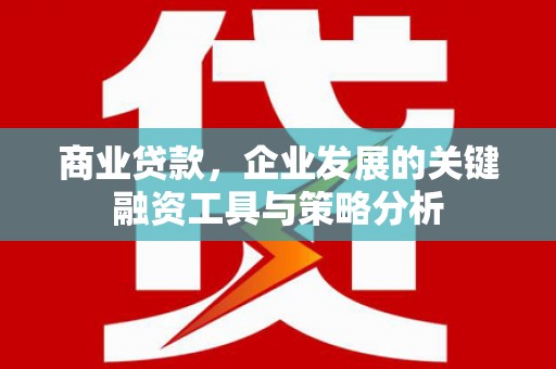 双清商业贷款，企业发展的关键融资工具与策略分析