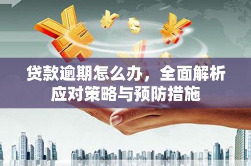 龙泉驿贷款逾期怎么办，全面解析应对策略与预防措施