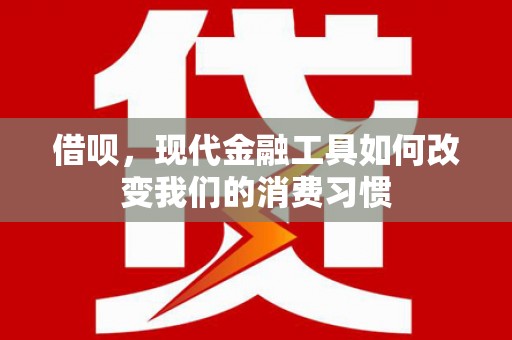 云林借呗，现代金融工具如何改变我们的消费习惯