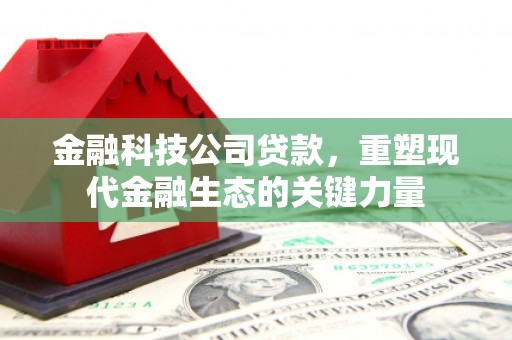 寻甸金融科技公司贷款，重塑现代金融生态的关键力量