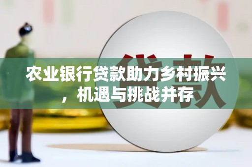 大名农业银行贷款助力乡村振兴，机遇与挑战并存