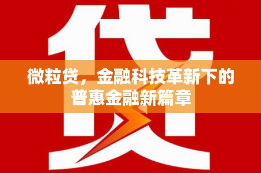 睢宁微粒贷，金融科技革新下的普惠金融新篇章