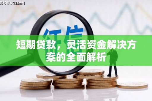 蒸湘短期贷款，灵活资金解决方案的全面解析