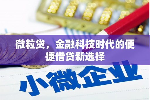 曲麻莱微粒贷，金融科技时代的便捷借贷新选择