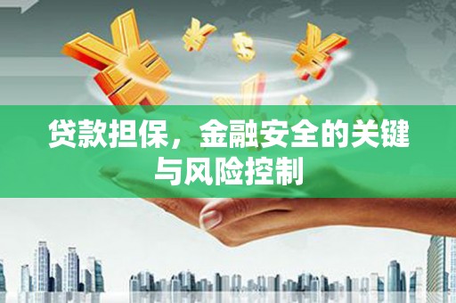 连城贷款担保，金融安全的关键与风险控制