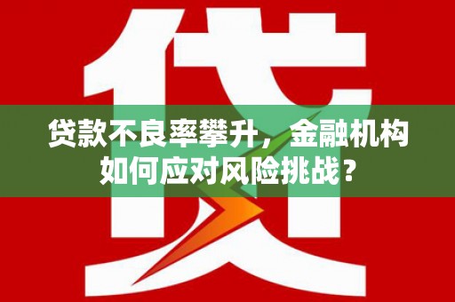 宁陕贷款不良率攀升，金融机构如何应对风险挑战？