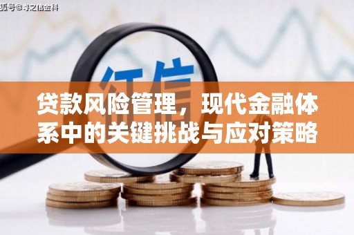 藤县贷款风险管理，现代金融体系中的关键挑战与应对策略