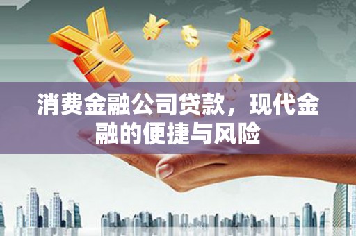 西陵消费金融公司贷款，现代金融的便捷与风险