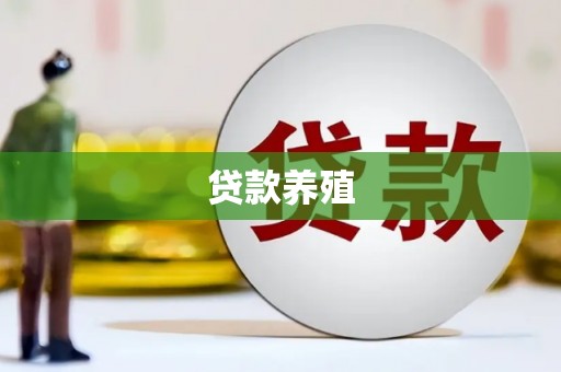 将军贷款养殖