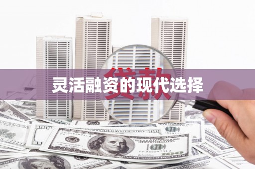 紫阳灵活融资的现代选择