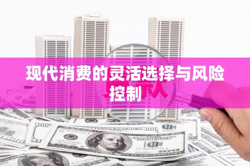大东现代消费的灵活选择与风险控制