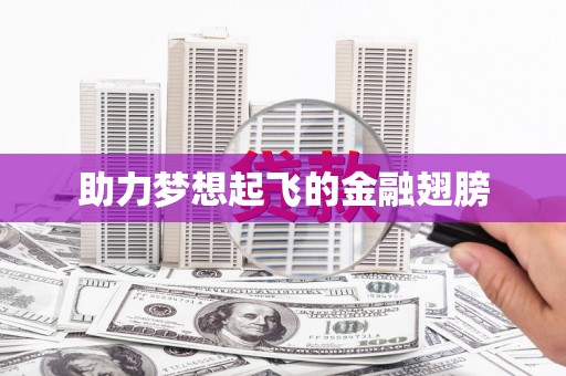 邵阳县助力梦想起飞的金融翅膀