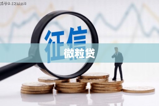 宿松微粒贷