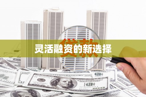洪洞灵活融资的新选择