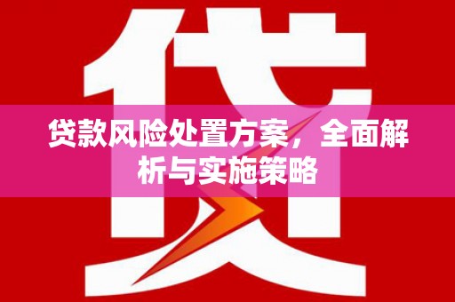 龙崎贷款风险处置方案，全面解析与实施策略