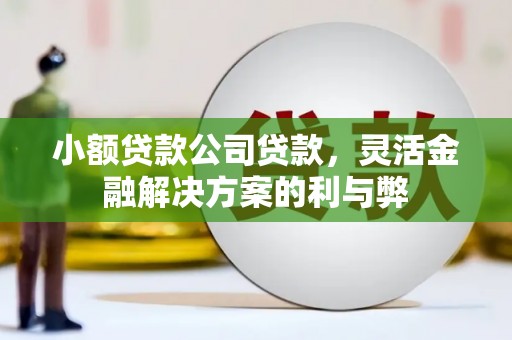 屯溪小额贷款公司贷款，灵活金融解决方案的利与弊